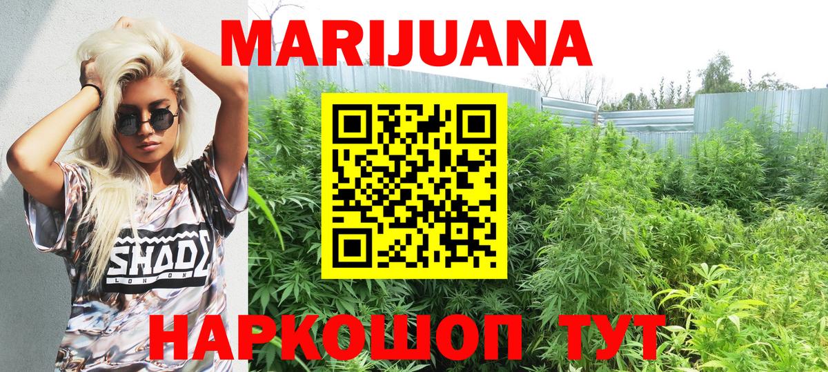 Конопля ГИДРОПОН Томск